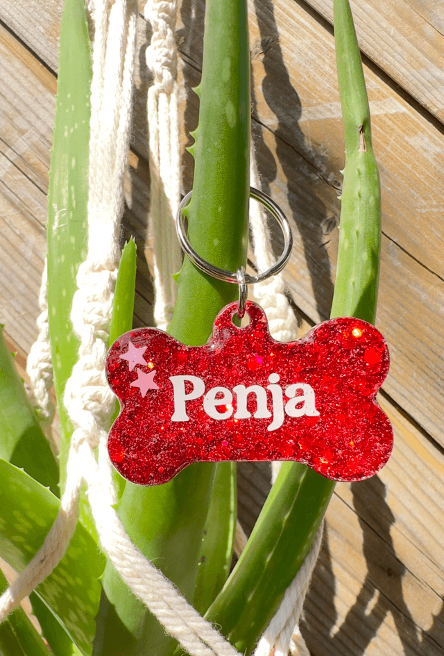 Médaille pour chien personnalisable en résine 
